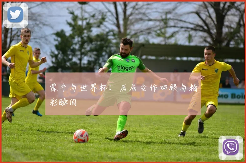 蒙牛与世界杯:历届合作回顾与精彩瞬间